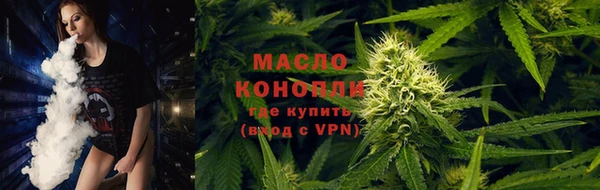 гидра Протвино