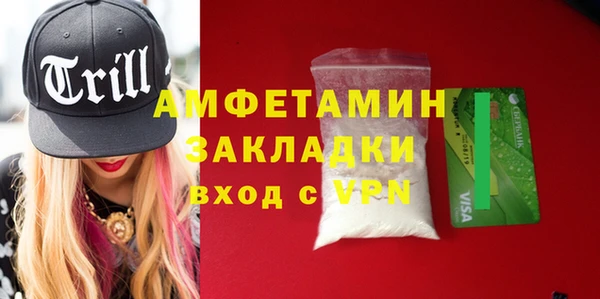 гидра Протвино