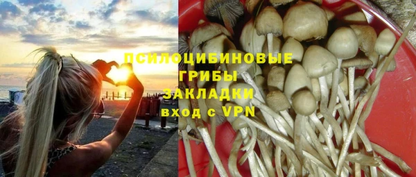 гидропоника Приозерск