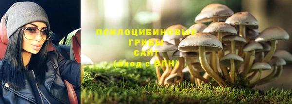 гидропоника Приозерск